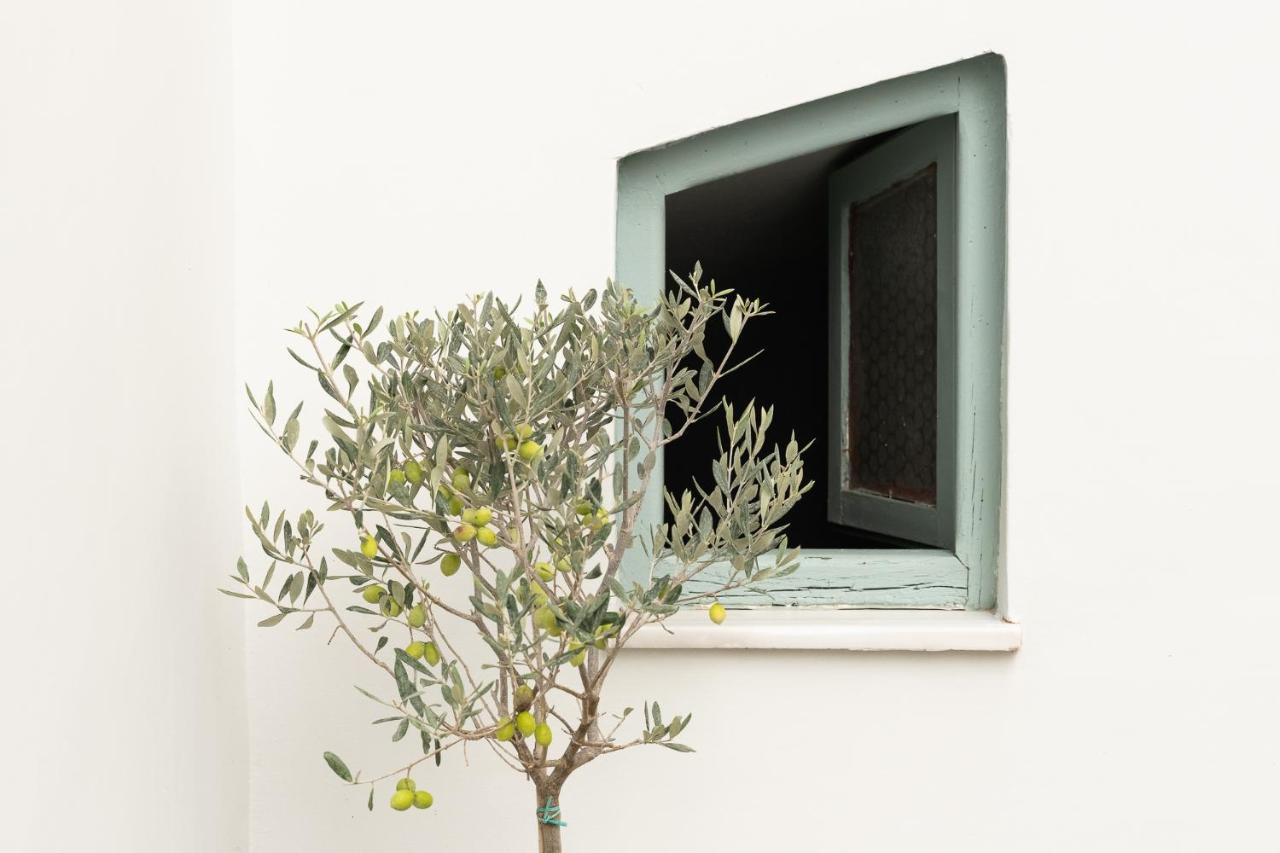 Central5 Boutique Apartments With Common Garden Next To Metro アテネ エクステリア 写真